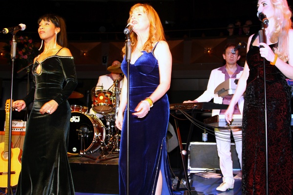 Opernball_2011   084.jpg